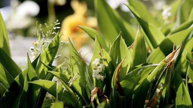 Sådan gør du seo til en naturlig del af din hverdag